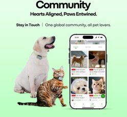 GlocalMe PetPhone 2-Way Call & Care GPS Tracking Dog & Cat Collar, Pink slide 2 of 9