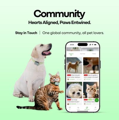 Show full view: GlocalMe PetPhone 2-Way Call & Care GPS Tracking Dog & Cat Collar, Green slide 7 of 11