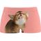 Show in main carousel: Shinesty The Right Meow Kitten Modal Boyshort Underwear, Pink, XX-Large slide 1 of 2