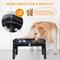 Show in main carousel: Supet 4-Height Adjustable Stainless Steel Elevated Dog Bowls, Black slide 5 of 7