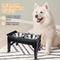 Show in main carousel: Supet 4-Height Adjustable Stainless Steel Elevated Dog Bowls, Black slide 6 of 7