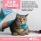Show in main carousel: Vet Worthy Feline Clean & Dissolve Ear Flush, 4-fl oz bottle slide 3 of 3