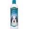 Show in main carousel: Bio-Groom Groom 'N Fresh Odor Eliminating Dog Shampoo, 12-fl oz bottle slide 1 of 6