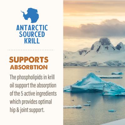 Show full view: Grizzly Joint Aid Liquid Hip & Joint Health Supplement for Dog & Cat, 16-fl oz bottle slide 6 of 12