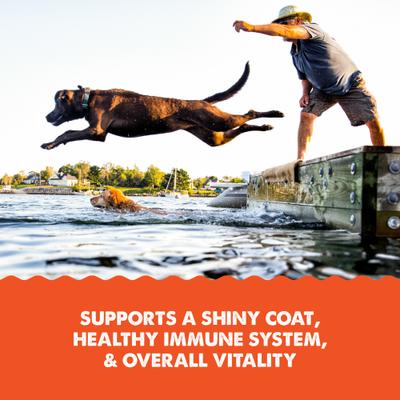 Show full view: Grizzly Salmon Plus Omega 3-6-9 Food Supplement for Dogs & Cats, 4-fl oz bottle slide 5 of 12