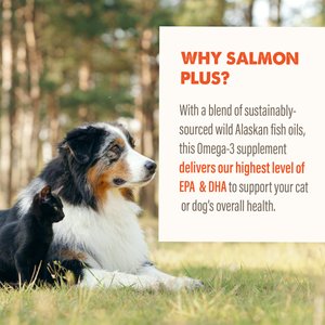 Grizzly Salmon Plus Omega 3-6-9 Food Supplement for Dogs & Cats, 4-fl oz bottle