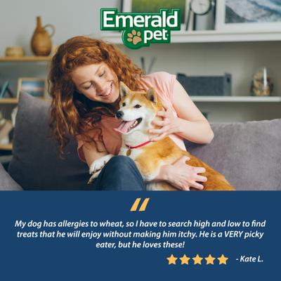 Show full view: Emerald Pet Pumpkin Harvest Mini Trainers Banana Soft & Chewy Dog Treats, 6-oz bag slide 7 of 7