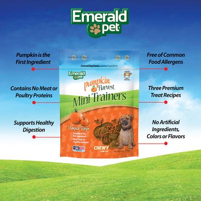 Show full view: Emerald Pet Pumpkin Harvest Mini Trainers Pumpkin Soft & Chewy Dog Treats, 6-oz bag slide 4 of 8