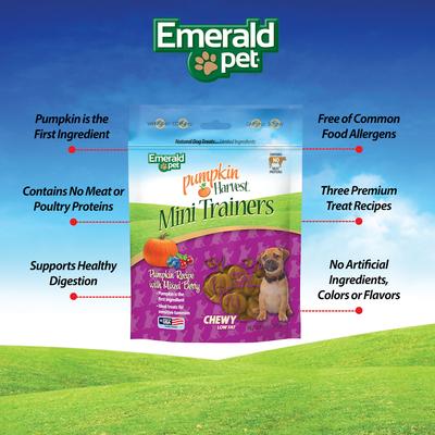 Show full view: Emerald Pet Pumpkin Harvest Mini Trainers Mixed Berry Soft & Chewy Dog Treats, 6-oz bag slide 4 of 8