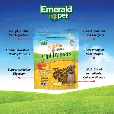 Show full view: Emerald Pet Pumpkin Harvest Mini Trainers Banana Soft & Chewy Dog Treats, 6-oz bag slide 3 of 7