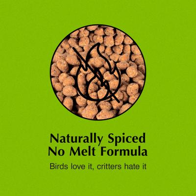 Show full view: C&S Hot Pepper Suet Nuggets Bird Food, 27-oz bag slide 6 of 11