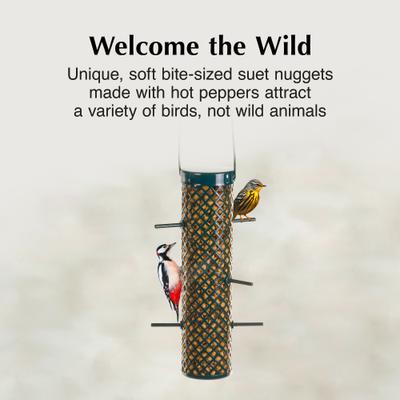 Show full view: C&S Hot Pepper Suet Nuggets Bird Food, 27-oz bag slide 4 of 11