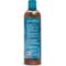 Show in main carousel: Bio-Groom Bronze Lustre Color Enhancer Dog Shampoo, 12-fl oz bottle slide 7 of 7