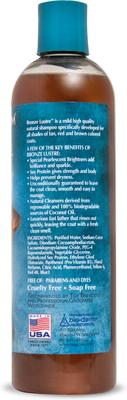 Show full view: Bio-Groom Bronze Lustre Color Enhancer Dog Shampoo, 12-fl oz bottle slide 7 of 7