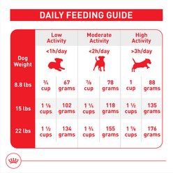 Royal Canin Size Health Nutrition Small Adult 8+ Dry Dog Food, 13-lb bag slide 2 of 9