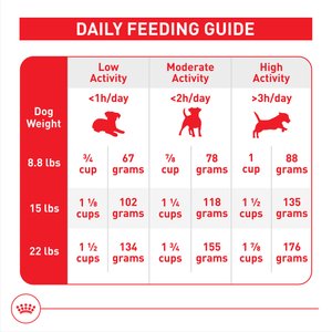 Royal Canin Size Health Nutrition Small Adult 8+ Dry Dog Food, 13-lb bag