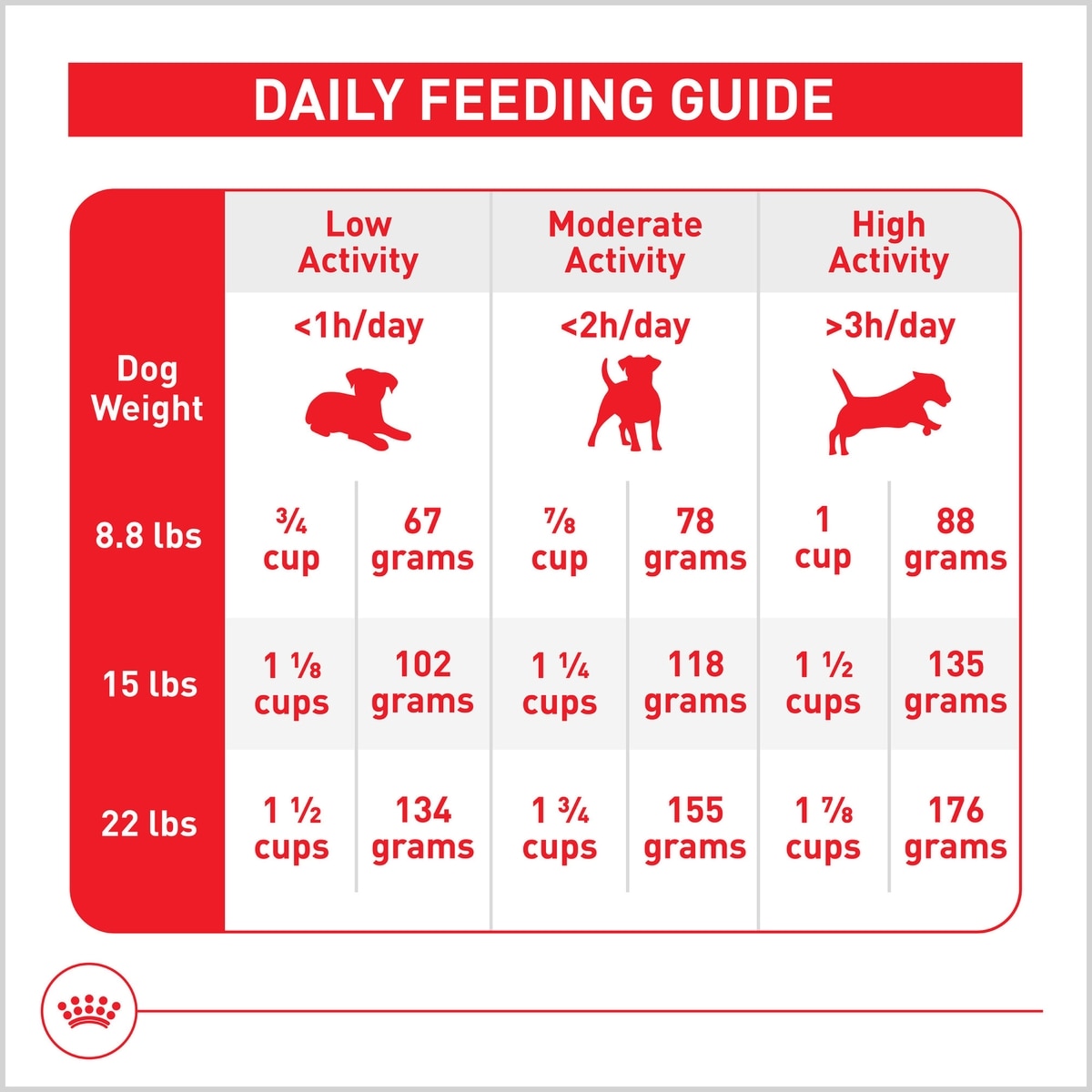 ROYAL CANIN Size Health Nutrition Small Adult 8+ Dry Dog Food, 13