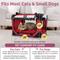 Show in main carousel: PetLuv Premium Soft-Sided Cat & Dog Carrier, Red, Small slide 3 of 11