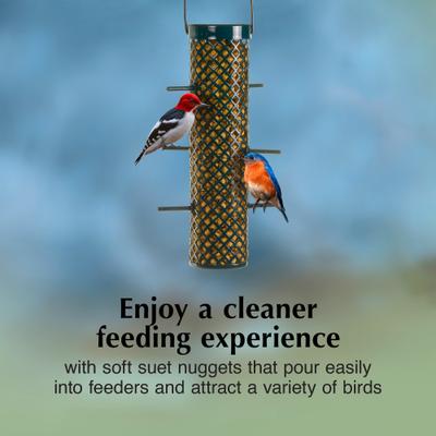 Show full view: C&S Hot Pepper Suet Nuggets Bird Food, 27-oz bag slide 5 of 11