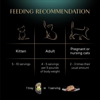 Show full view: Sheba Perfect Portions Grain-Free Tender Turkey Cuts in Gravy Entree Adult Wet Cat Food Trays, 2.6-oz tray, case of 24 slide 8 of 12