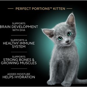 Sheba Perfect Portions Kitten Chicken, Salmon & Turkey Variety Pack Pate Wet Cat Food, 2.6-oz twin-pack tray, case of 24
