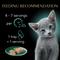 Show in main carousel: Sheba Perfect Portions Kitten Variety Pack Chicken Pate & Pate Salmon Wet Cat Food Trays, 2.6-oz tray, case of 12 slide 8 of 11