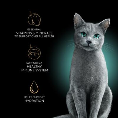 Show full view: Sheba Perfect Portions Grain-Free Sustainable Salmon Cuts in Gravy Entree Adult Wet Cat Food Trays, 2.6-oz tray, case of 24 slide 5 of 12