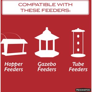 Pennington Select Black Oil Sunflower Seed Wild Bird Food, 40-lb bag