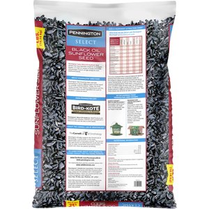 Pennington Select Black Oil Sunflower Seed Wild Bird Food, 40-lb bag