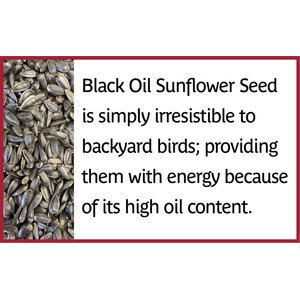 Pennington Select Black Oil Sunflower Seed Wild Bird Food, 40-lb bag
