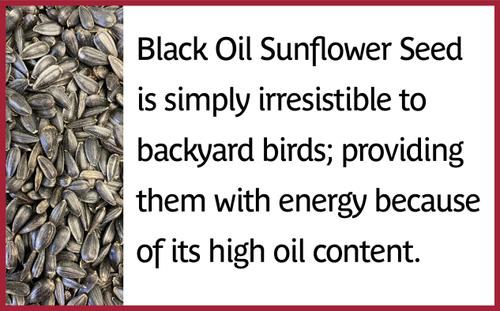 Show full view: Pennington Select Black Oil Sunflower Seed Wild Bird Food, 40-lb bag slide 5 of 11