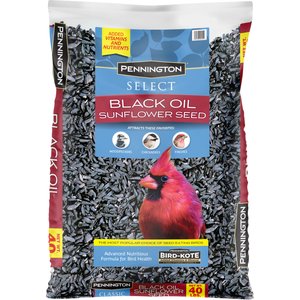 Pennington Select Black Oil Sunflower Seed Wild Bird Food, 40-lb bag
