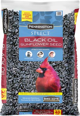Pennington Select Black Oil Sunflower Seed Wild Bird Food