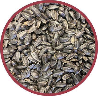 Show full view: Pennington Select Black Oil Sunflower Seed Wild Bird Food, 40-lb bag slide 3 of 11