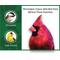 Show in main carousel: Pennington Classic Wild Bird Food, 40-lb bag slide 5 of 11