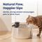 Show in main carousel: PawsPik PureFlow MAX Stainless Steel Curve Dog & Cat Water Fountain, 3.2-liter slide 6 of 12