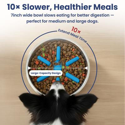 Show full view: PawsPik Stainless Steel Double Wall Slow-Feed Puzzle Dog Bowl, Midnight Summit Blue, 64-oz slide 4 of 10