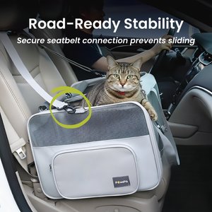 PawsPik Portable Dual-Pet Dog & Cat Carrier, Light Gray