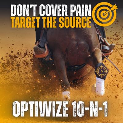 Show full view: OptiWize 10-N-1 Equine Powdered Joint Supplement, 4-lb bag slide 2 of 5
