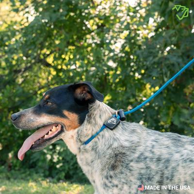 Show full view: Mad Dog Products Premium Rope Nylon Slip Lead Dog Leash, Royal Blue, 6-ft long, 3/8-in wide slide 4 of 6