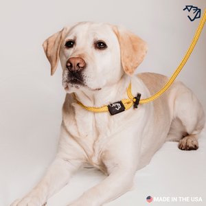 Mad Dog Products Premium Rope Nylon Slip Lead Dog Leash, Orange, 6-ft long, 3/8-in wide
