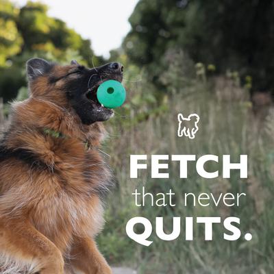 Show full view: Chew King by Mammoth Bacon Flavored Supreme Fetch Tough Chew Ball Dog Toy, Orange, 2 count, 3-in slide 6 of 8