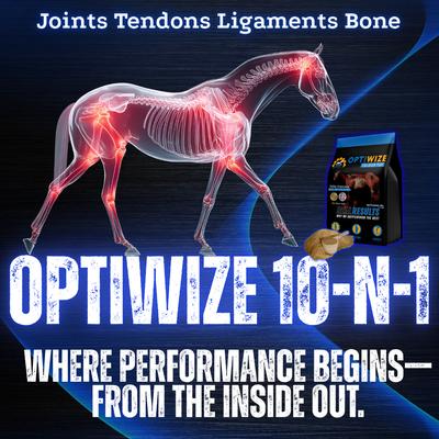Show full view: OptiWize 10-N-1 Equine Powdered Joint Supplement, 4-lb bag slide 4 of 5