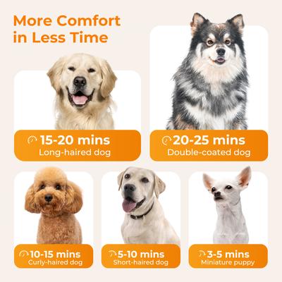 Show full view: Pecute 4 Nozzle High-Velocity Adjustable Spped & Temp Dog Hair Dryer, White slide 6 of 9