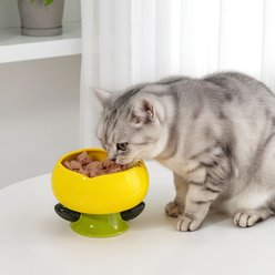 Happy & Polly Flower Shaped Cat Bowl