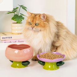 Happy & Polly Elevated Ceramic Flower Cat Bowl & Plate, Purple/Pink, 4-cup, 2 count