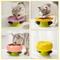 Show in main carousel: Happy & Polly Flower Shape Cat Bowl - Pink Bowl, Pink slide 4 of 9