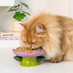 Happy & Polly Flower Shape Cat Bowl - Purple Plate, Purple