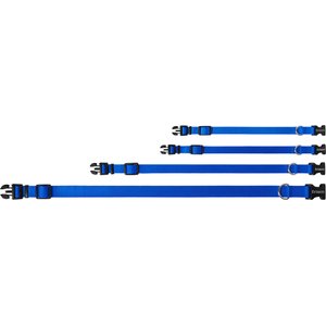 Frisco Solid Nylon Dog Collar, Blue, S: 10 to 14-in neck, 5/8-in W