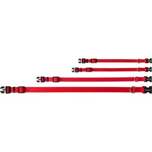 Frisco Solid Nylon Dog Collar, Red, XS: 8 to 12-in neck, 5/8-in W